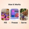 Freezbone Frozen Dog Chew Toy Bundle
