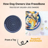 Freezbone Frozen Dog Chew Toy Bundle