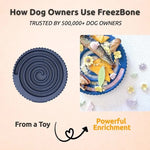 Freezbone Frozen Dog Chew Toy Bundle