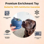 Freezbone Frozen Dog Chew Toy Bundle